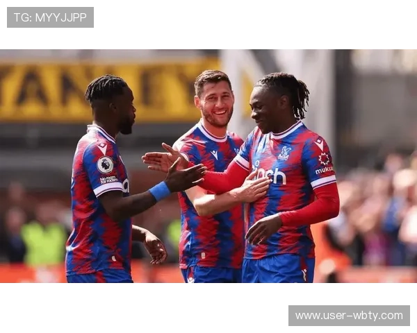 万博体育水晶宫未来赛季发展规划与球队建设策略全面解读