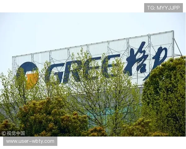 万博集团是国家控股企业还是私人控股企业的权威解读